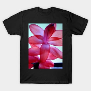 Gorgeous blossom T-Shirt